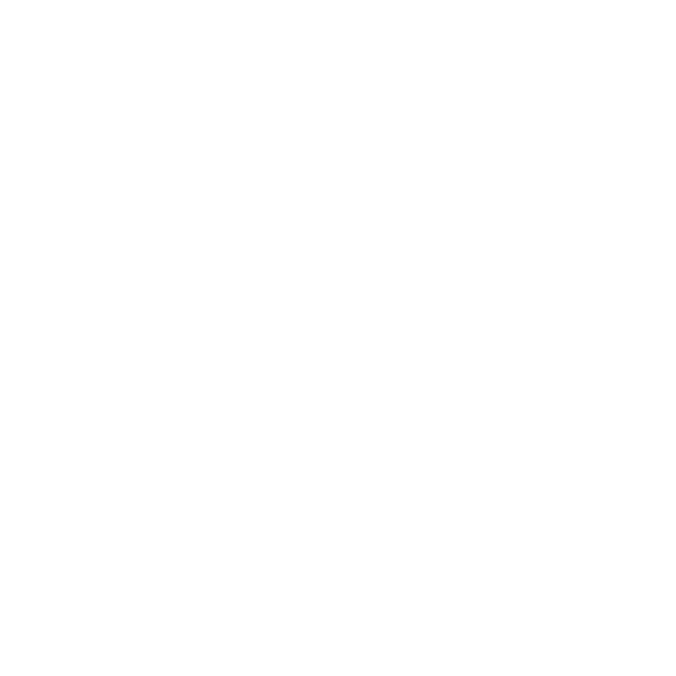 ASSADOR