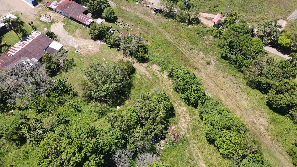 FINCA VILLA EL RECUERDO — Vista aérea de las construcciones y la vegetación